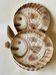 Set of 6 beige earthenware dinner plates, circa 1970, Sarreguemines, France.