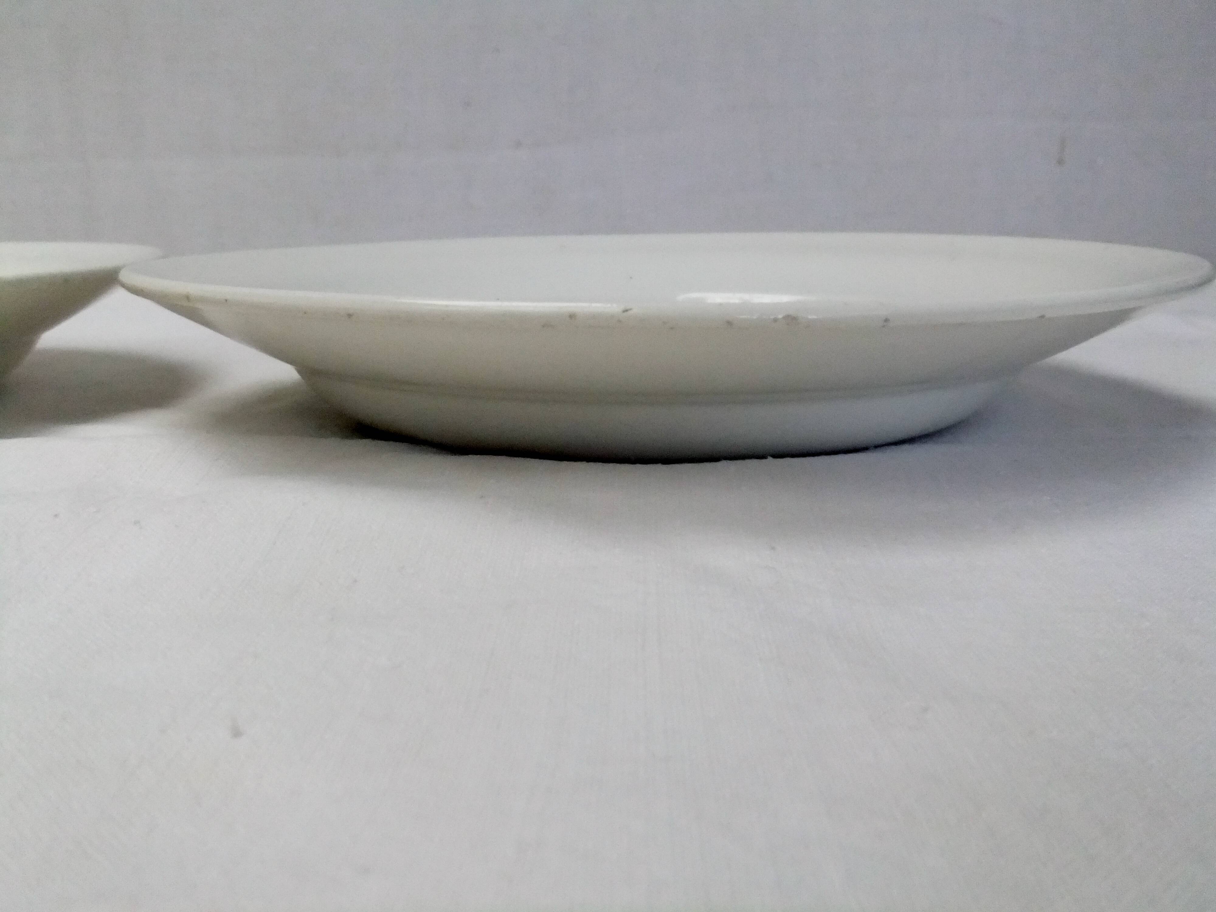 Ceranord St Amand plate with flower decoration and cutlery set