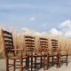 Set of 4 rustic vintage armchairs in English farmhouse style with rush seats.