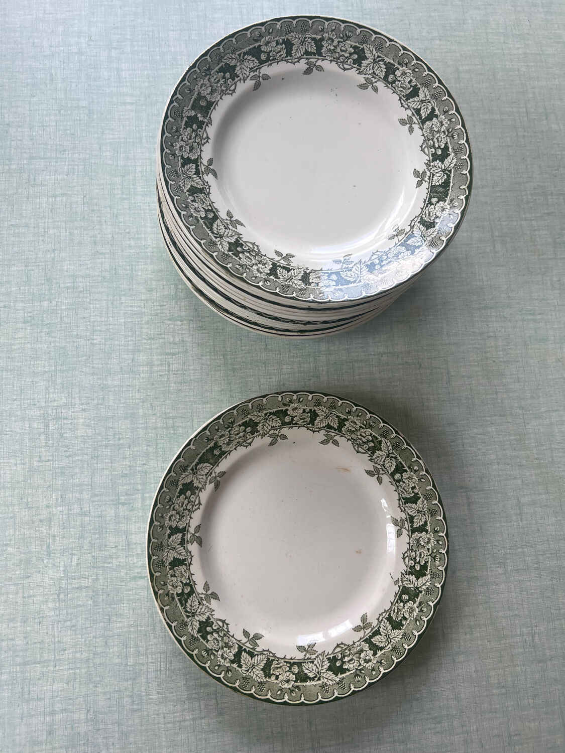 Set of 12 flat plates Moulin des loups model Mûrier