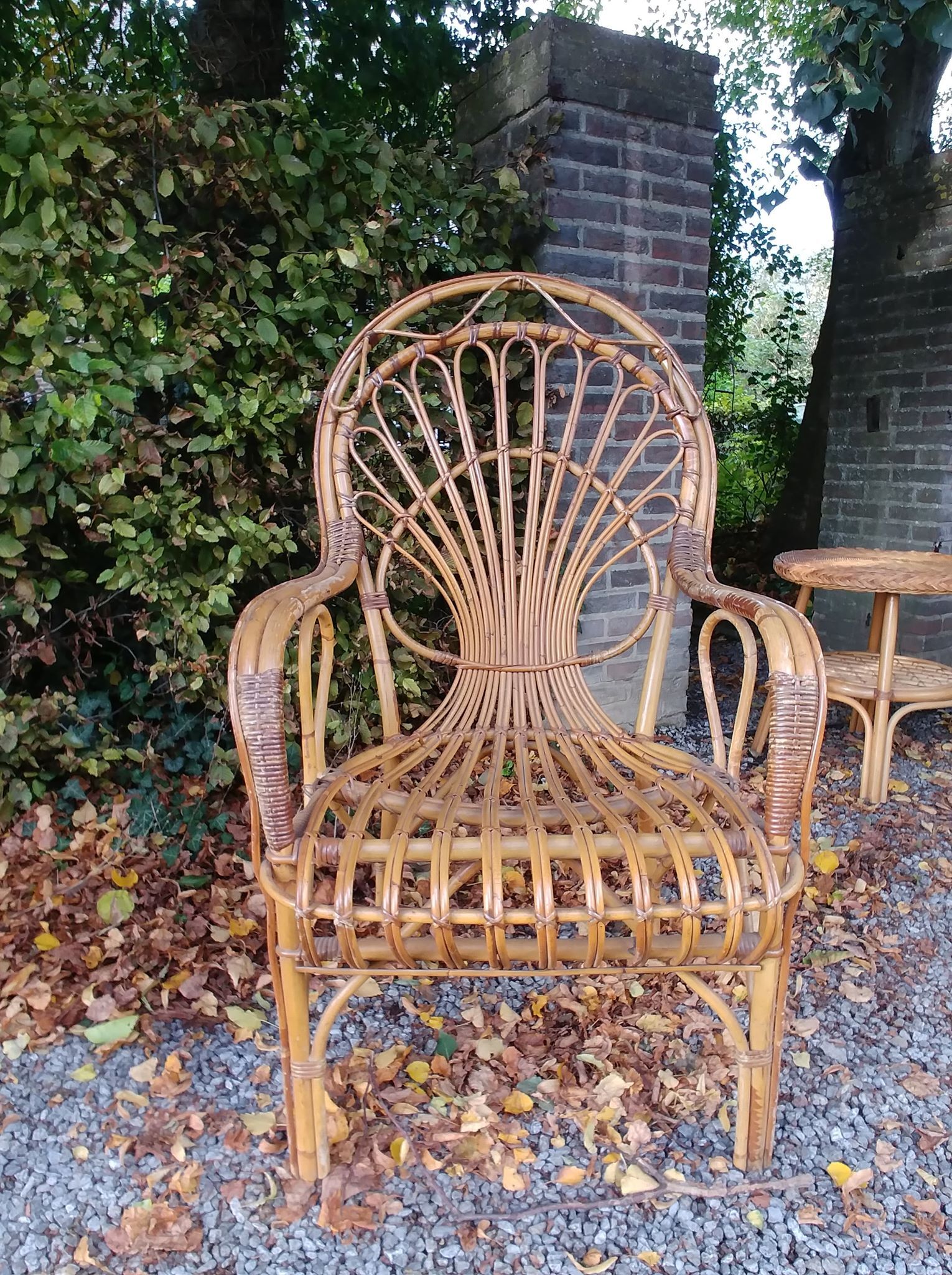 Pair of rattan chairs - 1970