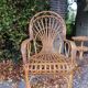 Pair of rattan chairs - 1970