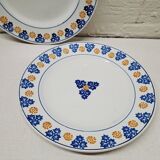 Pair of indigo and saffron flat plates