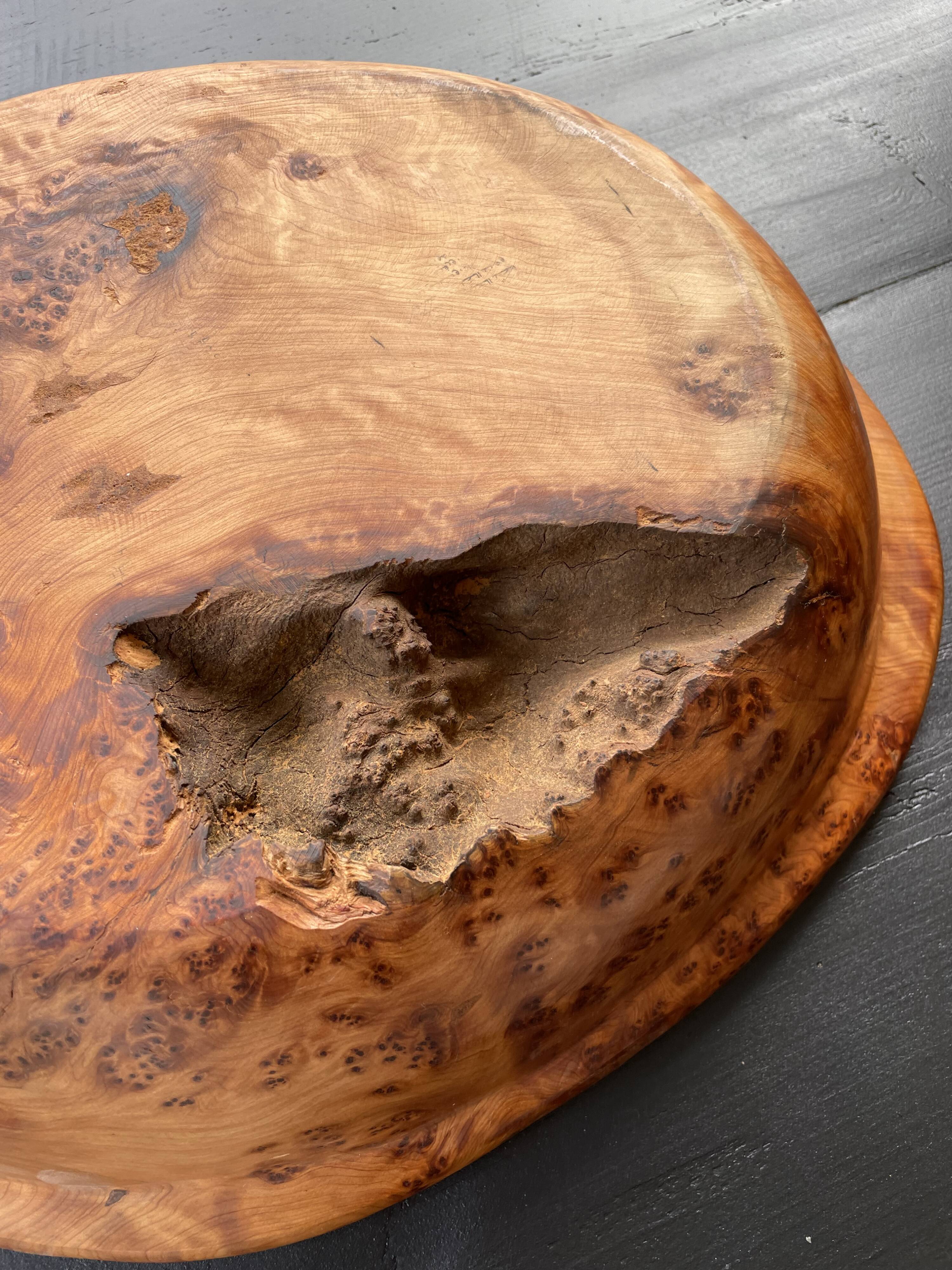 XL thuja root wooden dish