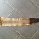 Kangaroo skin Curiosity cabinet