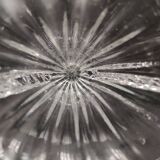 Transparent Murano Glass Vase attr. to Barovier and Toso, Italy