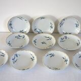 10 Bernardaud Limoges porcelain forget-me-not fruit dessert bowls