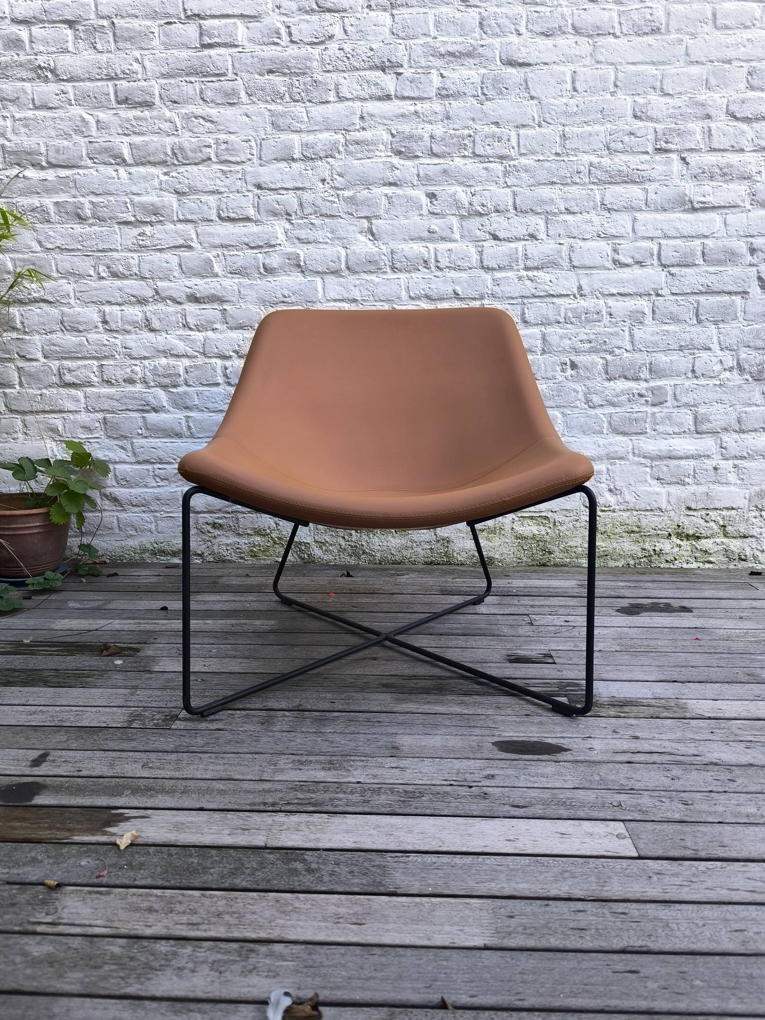Chair NOTI Mishell