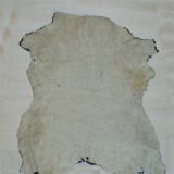 Goat skin