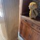 Wardrobe 1 door