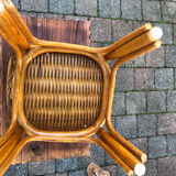 Exotic wicker harness