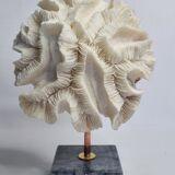 Old white coral "méandrine" on marble base, 25 cm