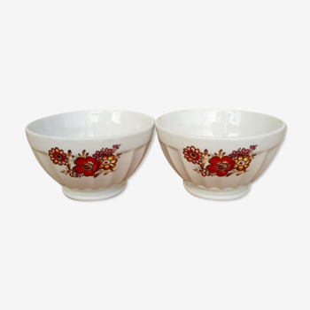 Set of two Longchamp bowls France porcelain