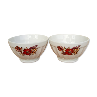 Set of two Longchamp bowls France porcelain