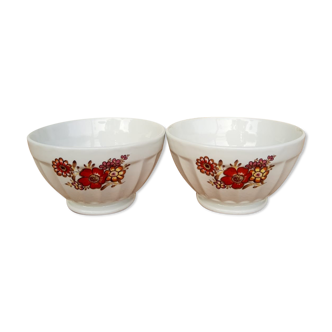 Ensemble de deux bols Longchamp France porcelaine