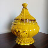 Mustard yellow soup or candy maker