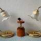 Paire de lampes Fleur vintage 80’