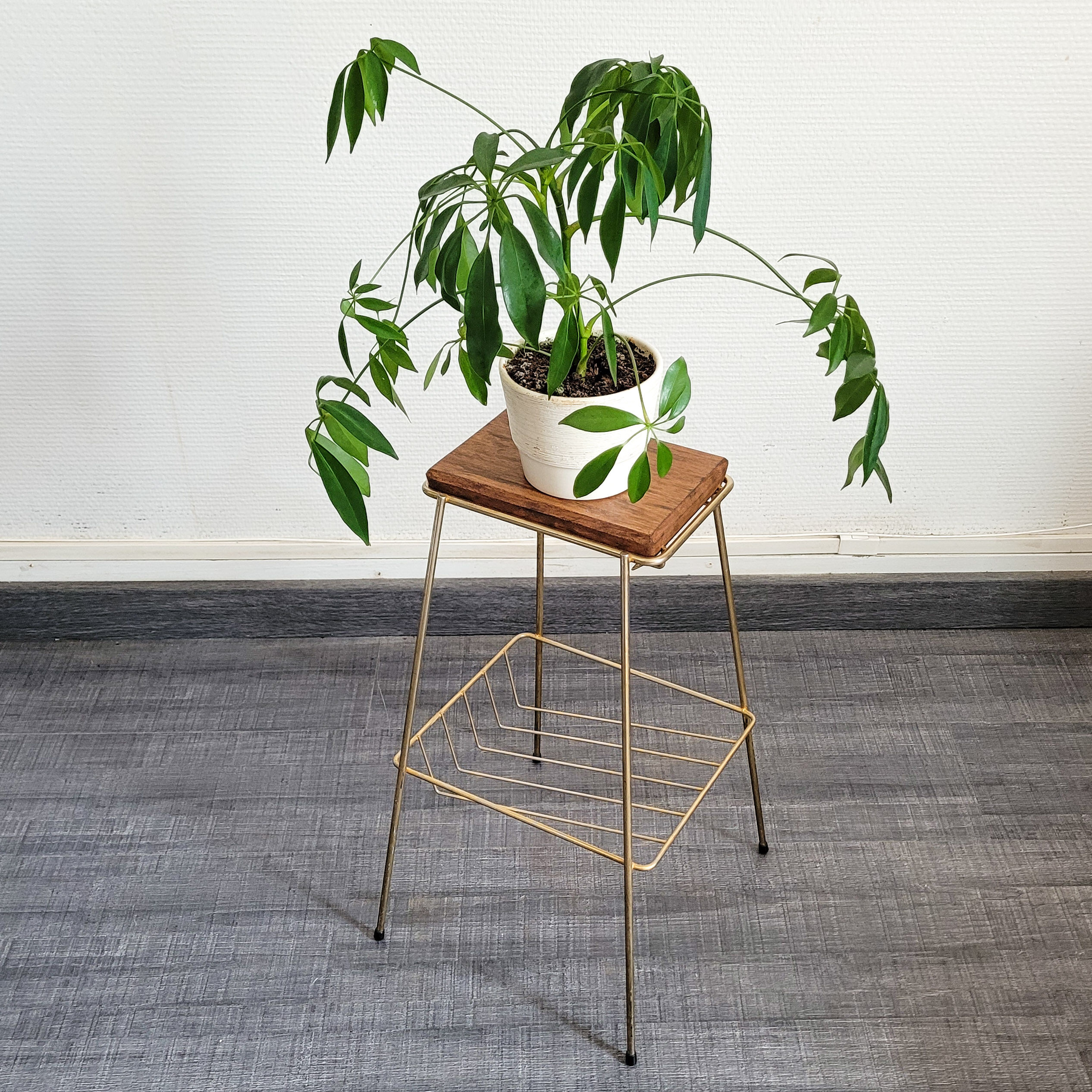 Small harness, brass plant holder and wood