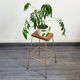 Small harness, brass plant holder and wood