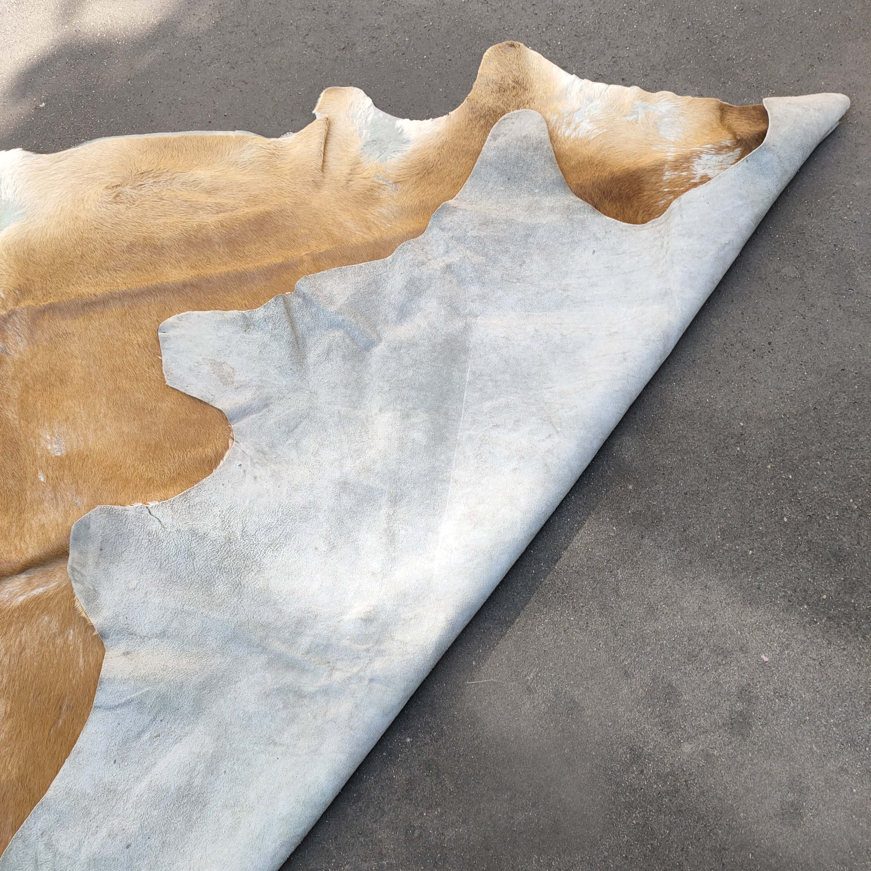 Large Cow skin 200x200cm