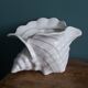 Ceramic conch shell, plant pot or trinket dish.