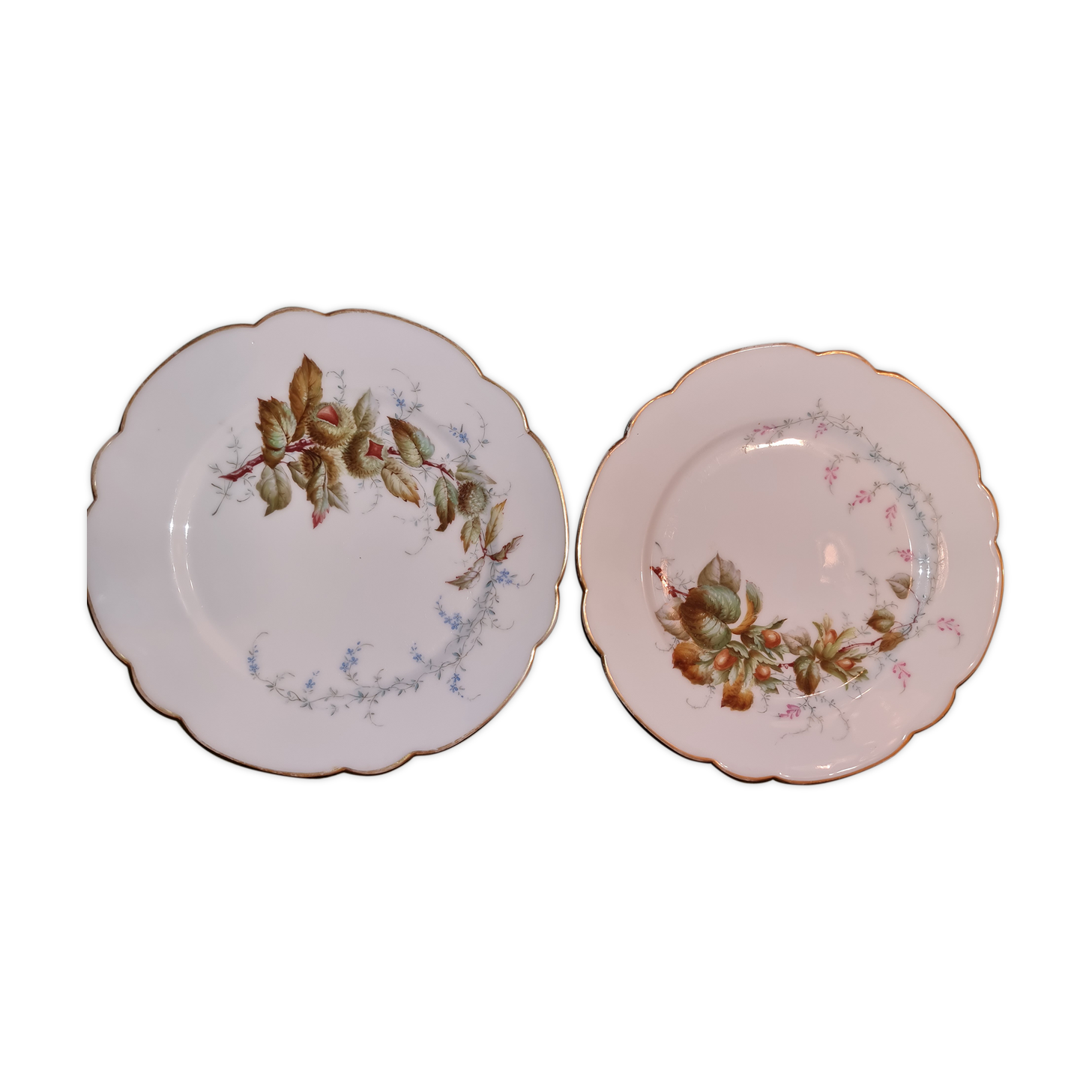 2 plates autumnal motifs