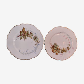 2 assiettes motifs automnale