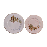 2 assiettes motifs automnale