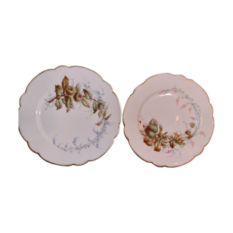 2 assiettes motifs automnale