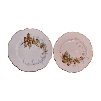 2 plates autumnal motifs