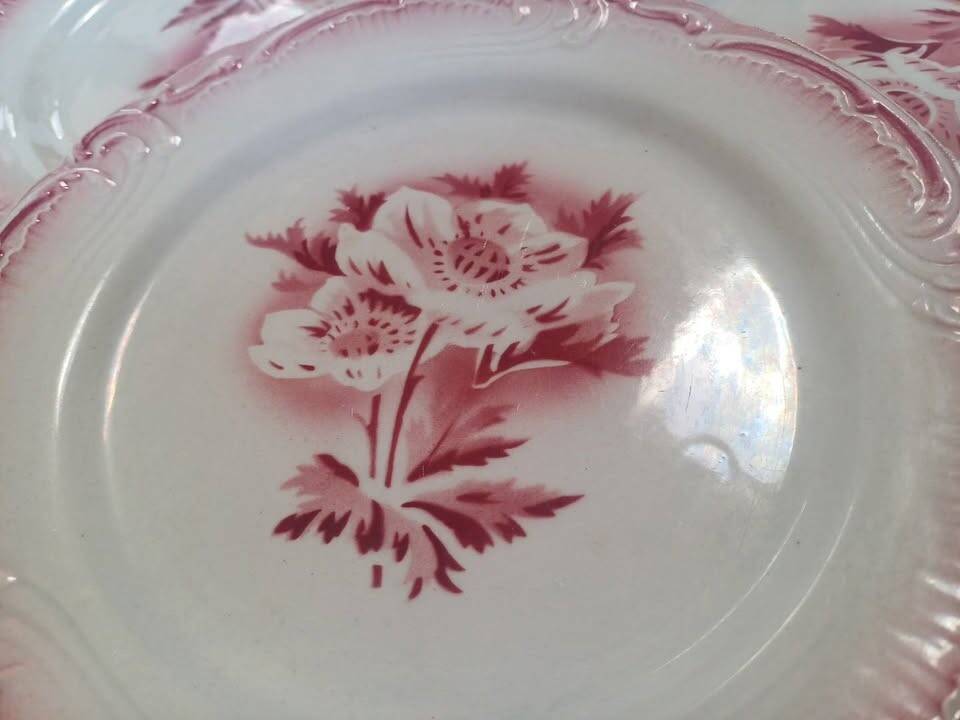 Lot of 5 antique opaque porcelain plates.