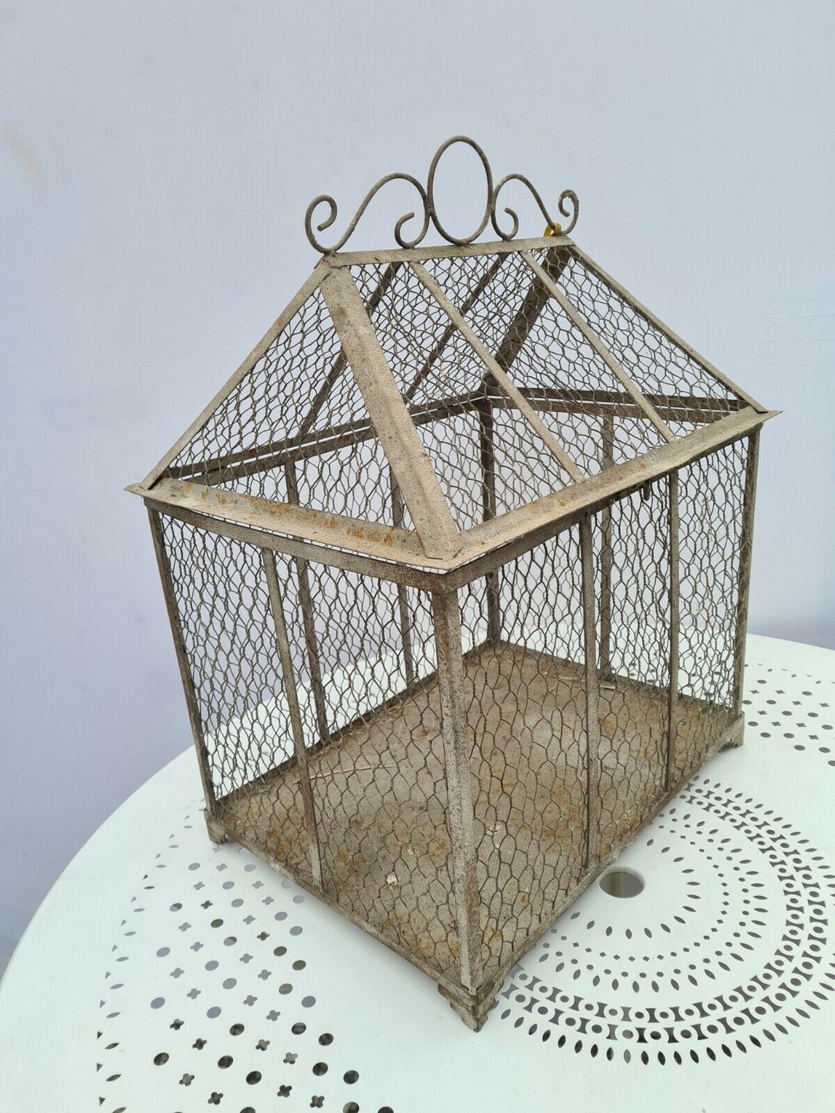 Iron bird cage