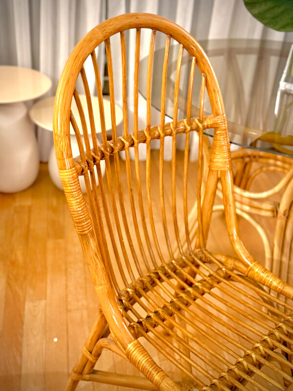 Table rotin verre fumé + chaises