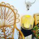 Vintage peacock rattan chair