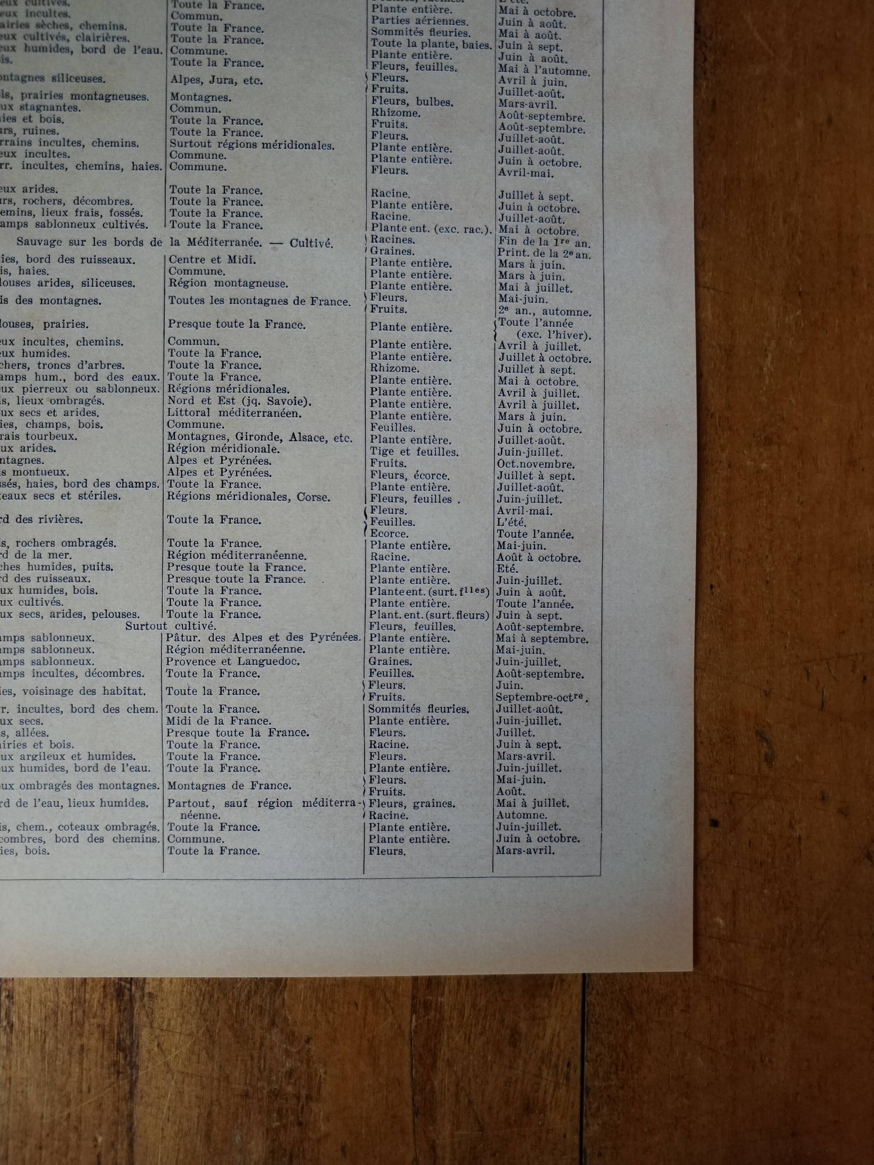 Original lithograph on medicinal plants (2)