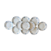Lot de 11 assiettes anciennes
