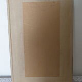 Bird-couple frame in butterfly wings