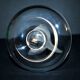 Lalique ashtray dish bird dove in frosted crystal and signed