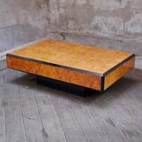 Elm magnifying glass coffee table