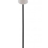 Courrier Ligne Roset floor lamp