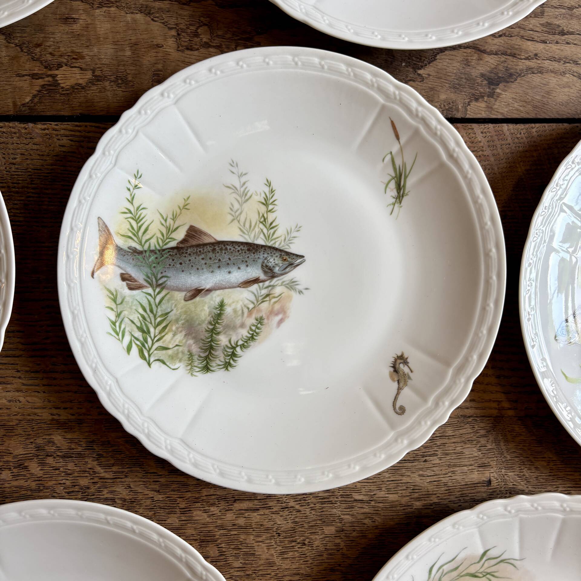 Set of 10 antique flat plates in porcelain, decorated with fish.