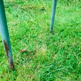 Set of 4 school chairs - wood & metal