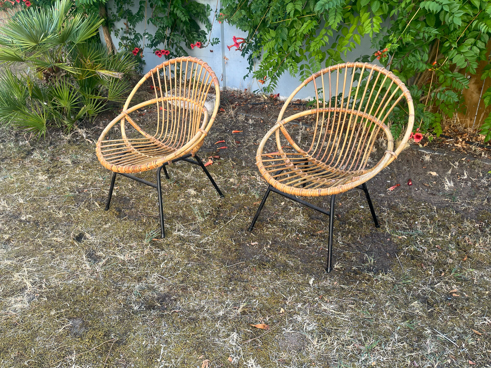 Rattan armchairs