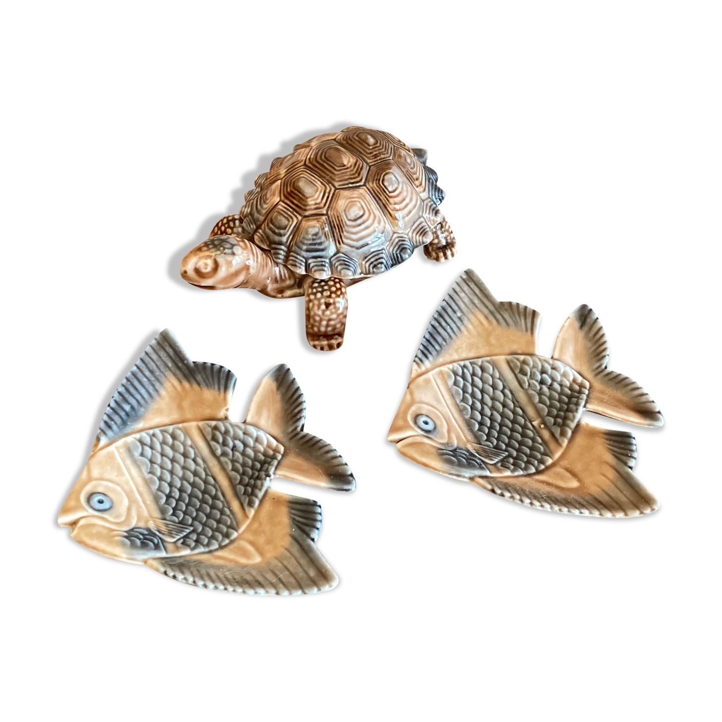 Empty fish pockets turtle Wade Ireland