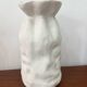 Paire de vases blancs