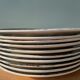 Set of 10 flat plates Terre de Fer Faïence d'Onnaing, model Roses-Mousses