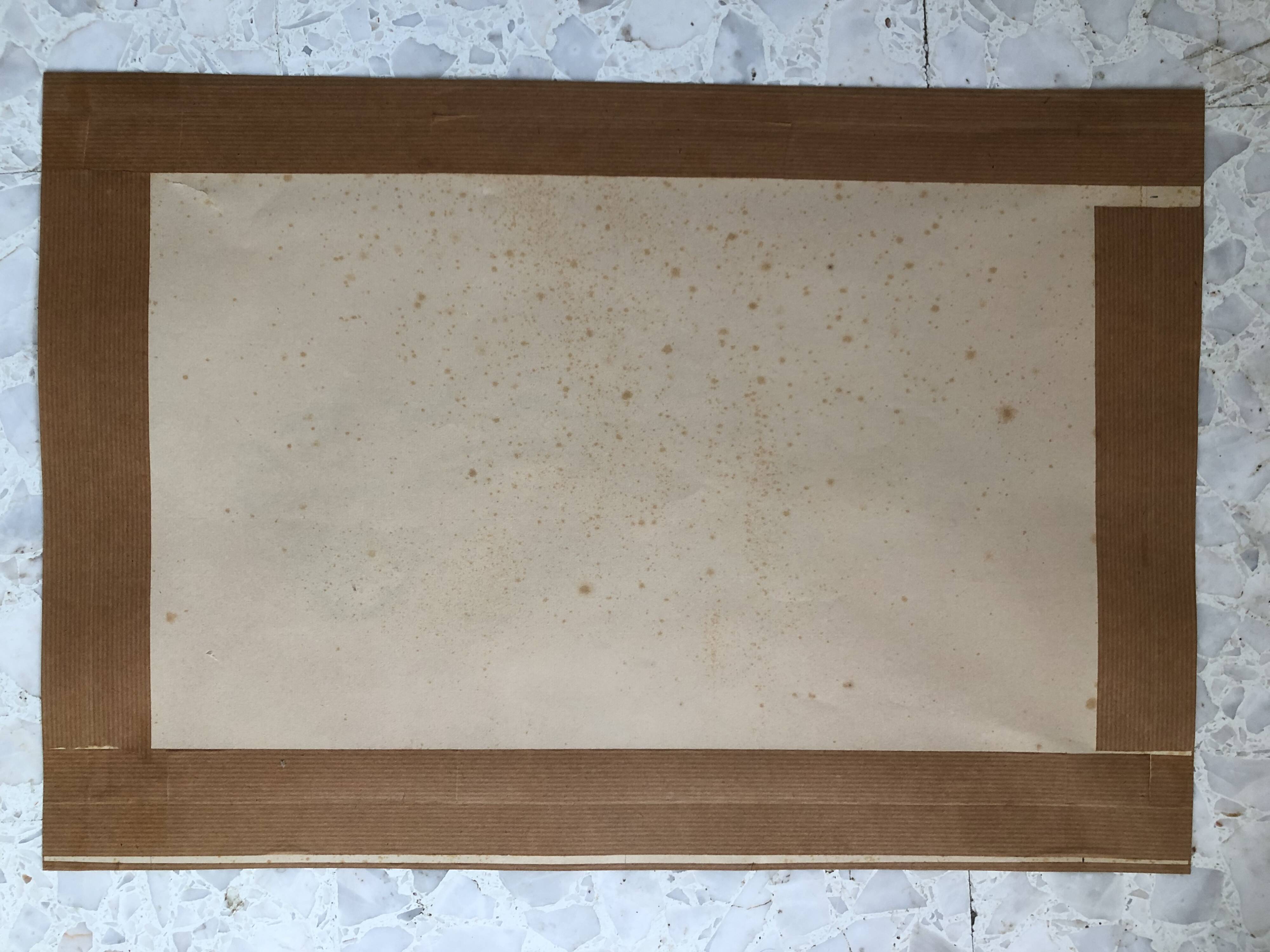 Pencil and pastel drawing xix paper: naked woman lying on a sheet, signed adam (hugo?), fine arts