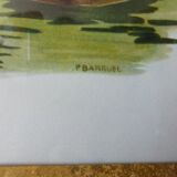 Birds - collection Hepatior N ° 31