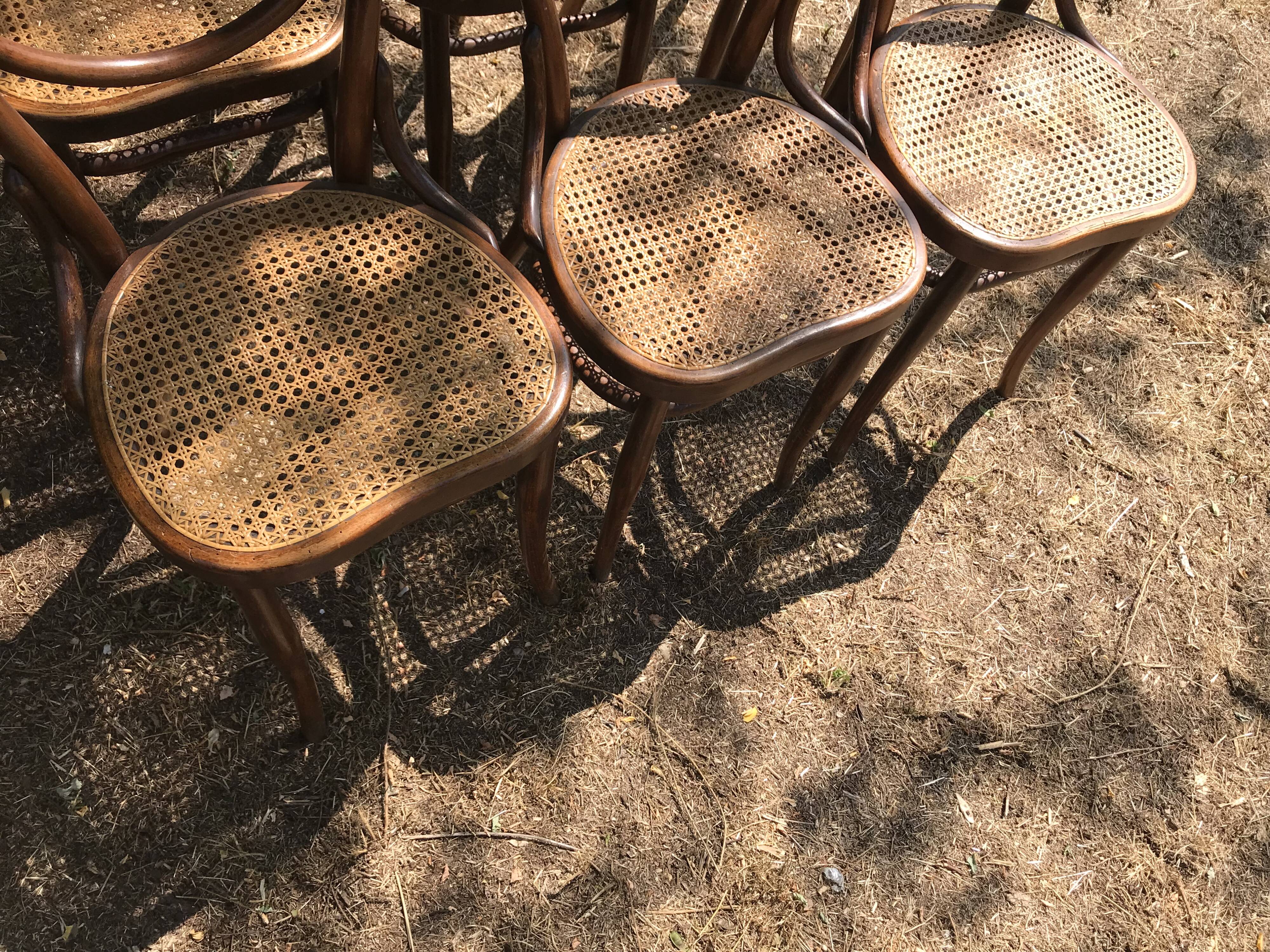 Suite de 6 chaises Joseph Hofman Thonet