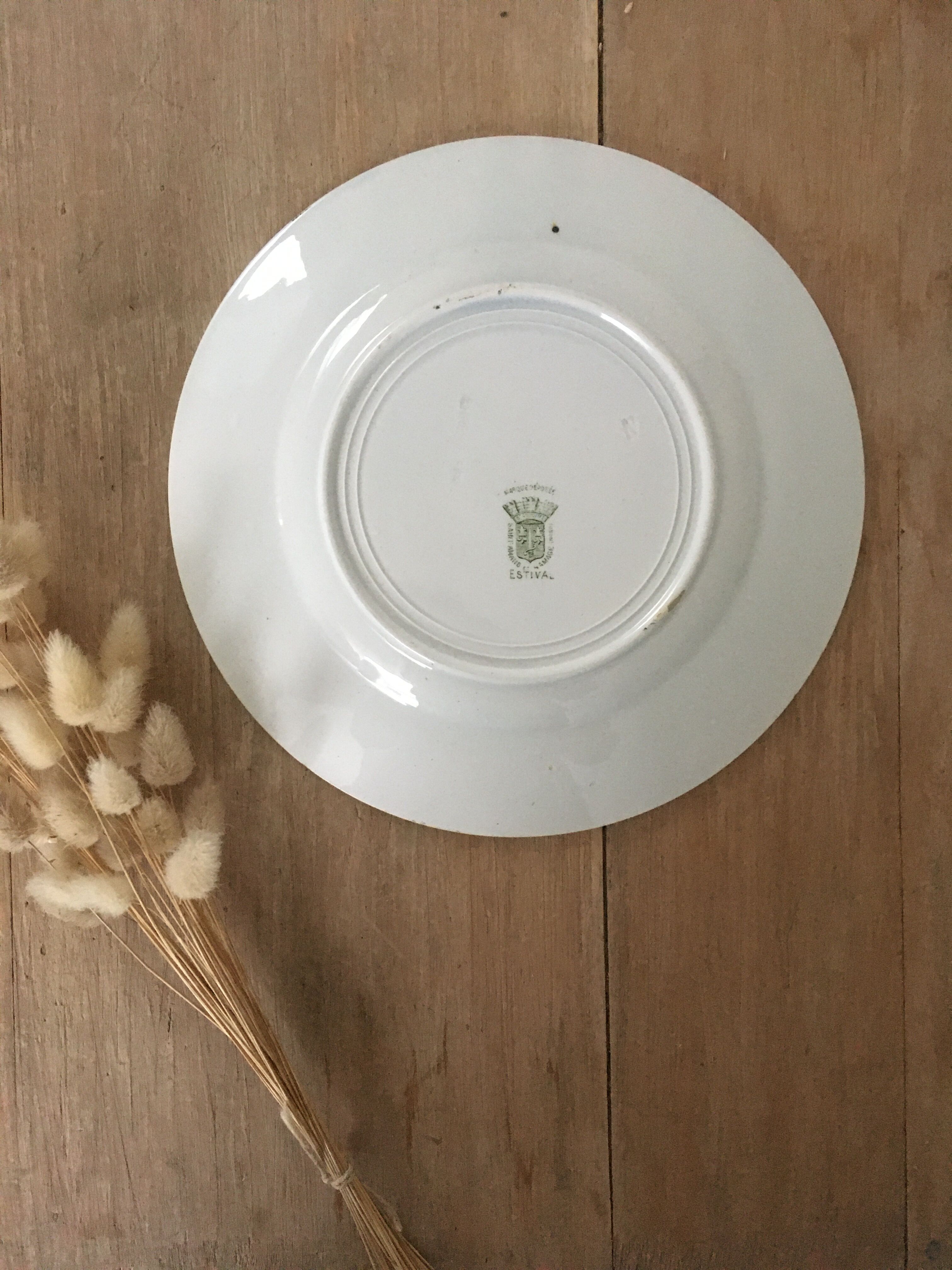 Flat plates iron St Amand Estival